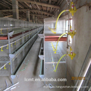 H type broiler chicken cage for 112 broilers hot sale